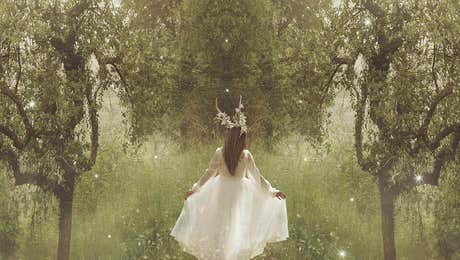 Babette Van den Berg