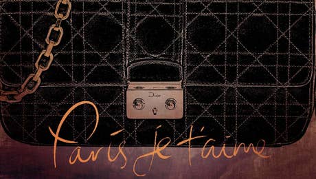 Bag & Purse Art