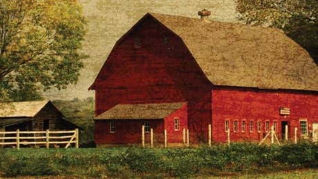 Barns