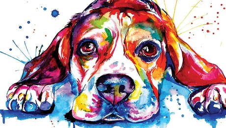 Beagle Art