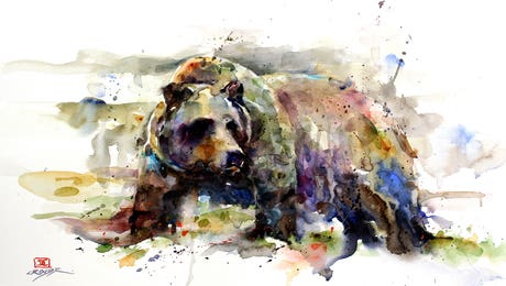 Bear Art Hero