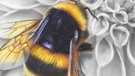 Bee Art