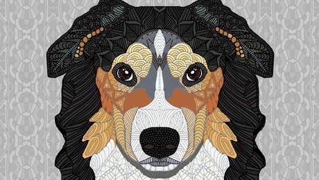 Bernese Mountain Dog Art