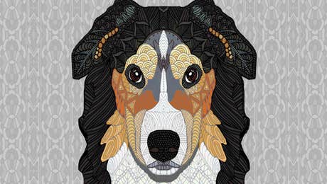 Bernese Mountain Dog Art