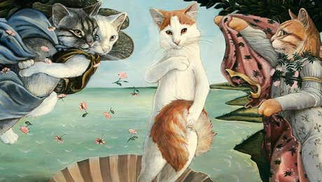 The Birth of Venus Reimagined