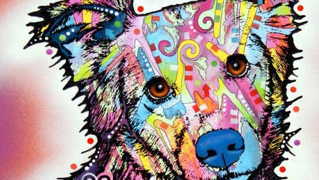 Border Collie Art