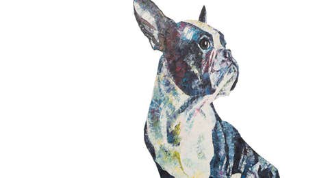 Boston Terrier Art