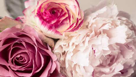 Botanical Still Life