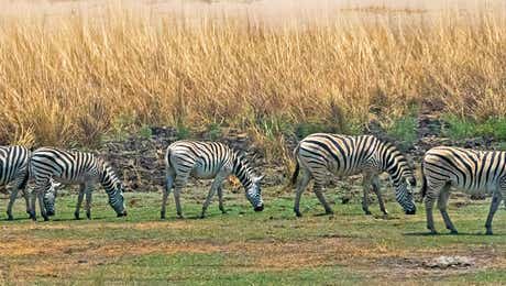 Botswana