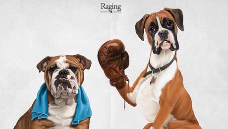 Boxer Art