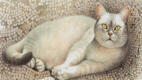 British Shorthair Cat Art