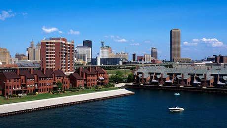 Buffalo Art