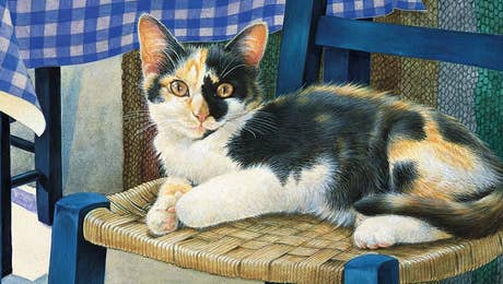Calico Cat Art