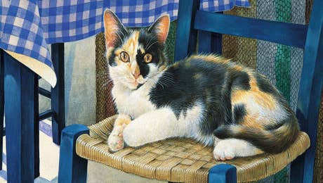 Calico Cat Art