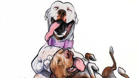 Canine Caricatures