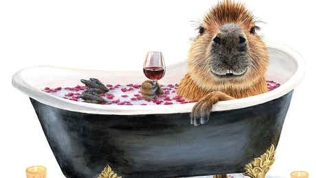 Capybara