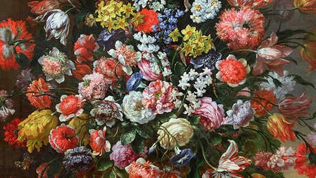 Carnation Art