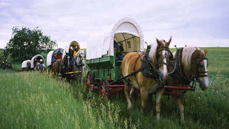 Carriage & Wagon Art