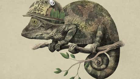 Chameleon Art