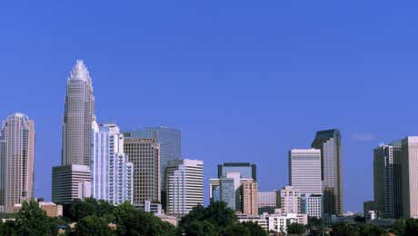 Charlotte Skylines