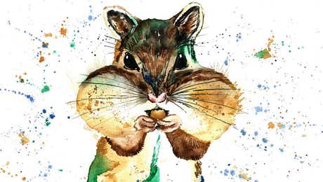 Chipmunk Art
