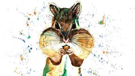 Chipmunk Art