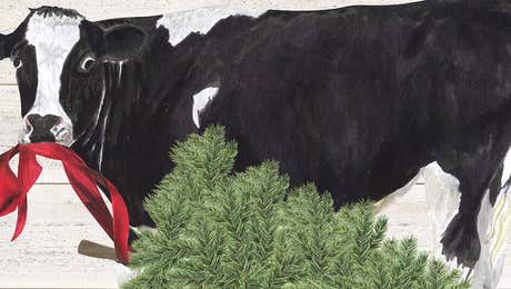 Christmas Cow Art