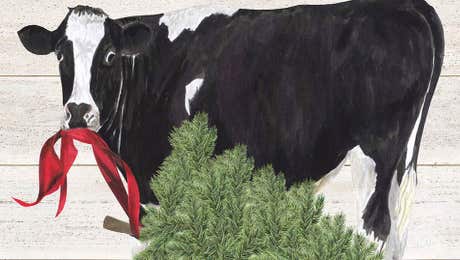 Christmas Cow Art