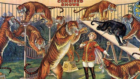 Circus Art