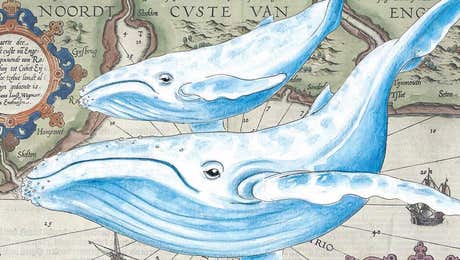 Cottagecore Goes Coastal