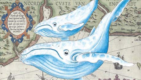 Cottagecore Goes Coastal