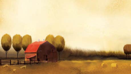 Country Décor