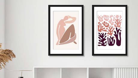 The Cut Outs Collection