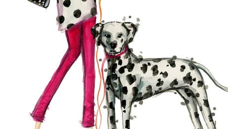 Dalmatian Art