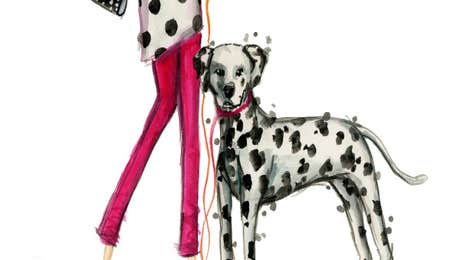 Dalmatian Art