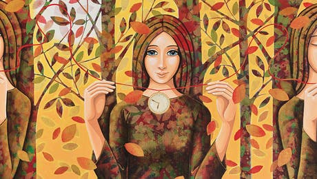 Daniela Prezioso Einwaller