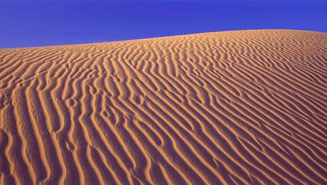 Death Valley National Park Art