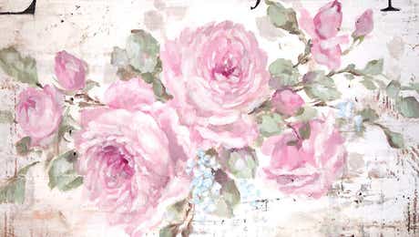 Debi Coules Florals