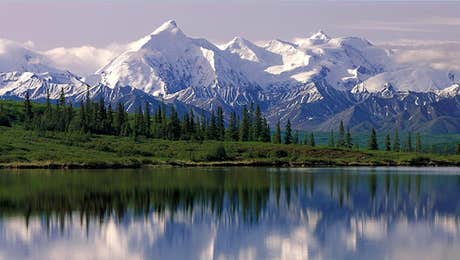 Denali National Park & Preserve Art