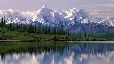 Denali National Park & Preserve Art