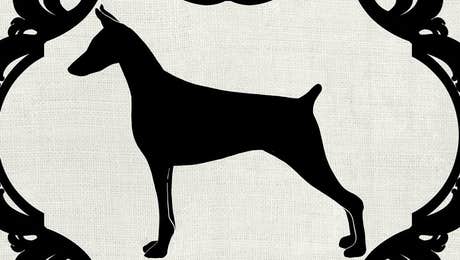 Doberman Pinscher Art
