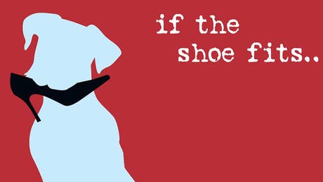 Dog is Good and Cat is Good