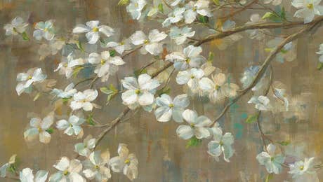 Dogwood Art