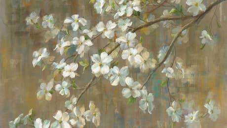 Dogwood Art