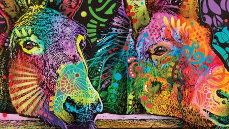 Donkey Art