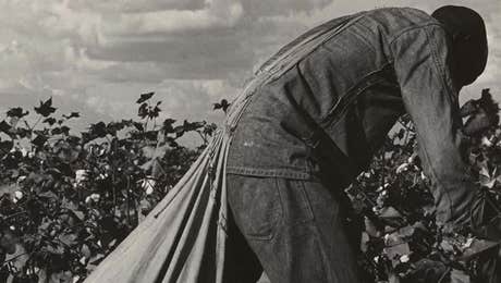 Dorothea Lange