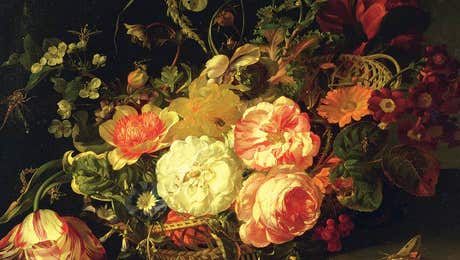 Dutch Golden Age Art