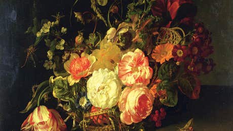 Dutch Golden Age Art