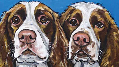 English Springer Spaniel Art