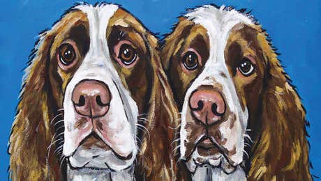 English Springer Spaniel Art